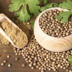 تخم گشنیز